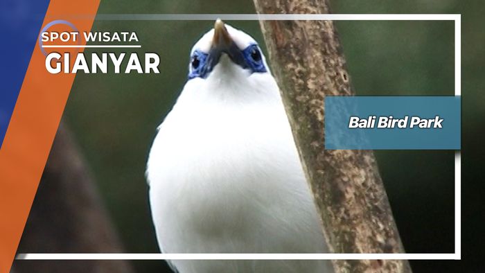 Bali Bird Park, Gianyar
