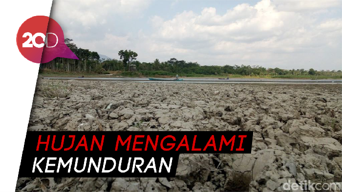 Ini Wilayah yang Diprediksi BMKG Bakal Turun Hujan di Awal November
