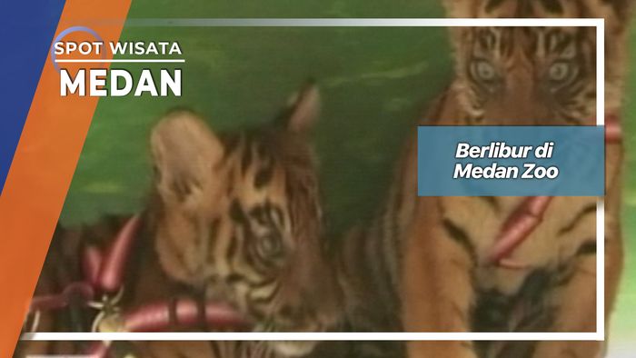 Berlibur di Medan Zoo, Medan