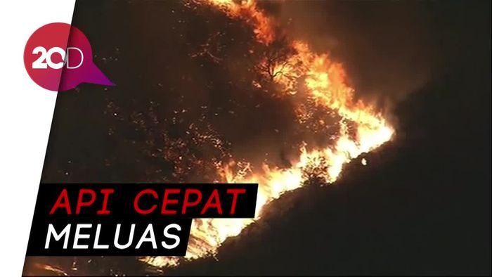 Kebakaran Hutan di California