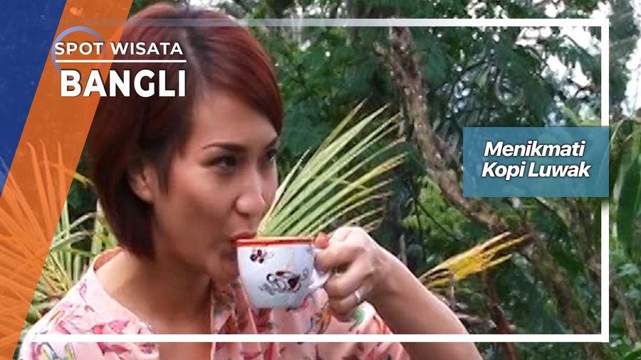 Menikmati Kopi Arabika Luwak Di Bangli Bali