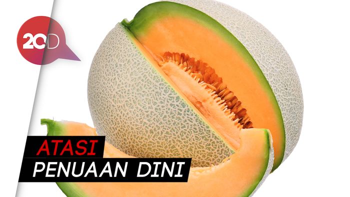 Menjajal Bolu Berbahan Kulit Melon