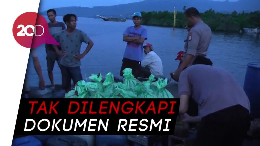 Bawa Kayu Ilegal dan Bahan Kimia, Nur Azizah Diamankan di Balabalakang