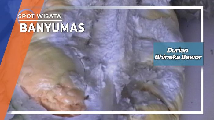 Durian Bhineka Bawor, Banyumas