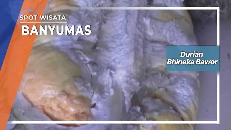 Durian Bhineka Bawor, Banyumas