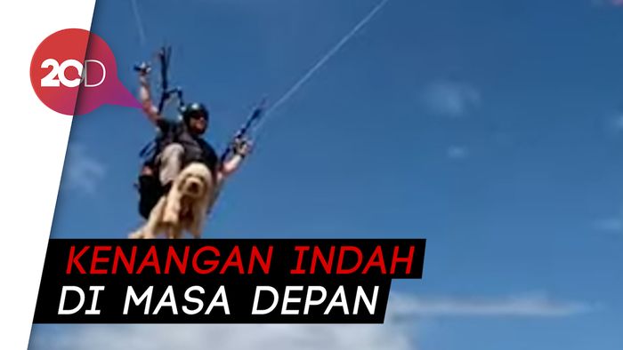 Pacu Adrenalin, Anjing Ini Hobi Paralayang Bersama Pemiliknya