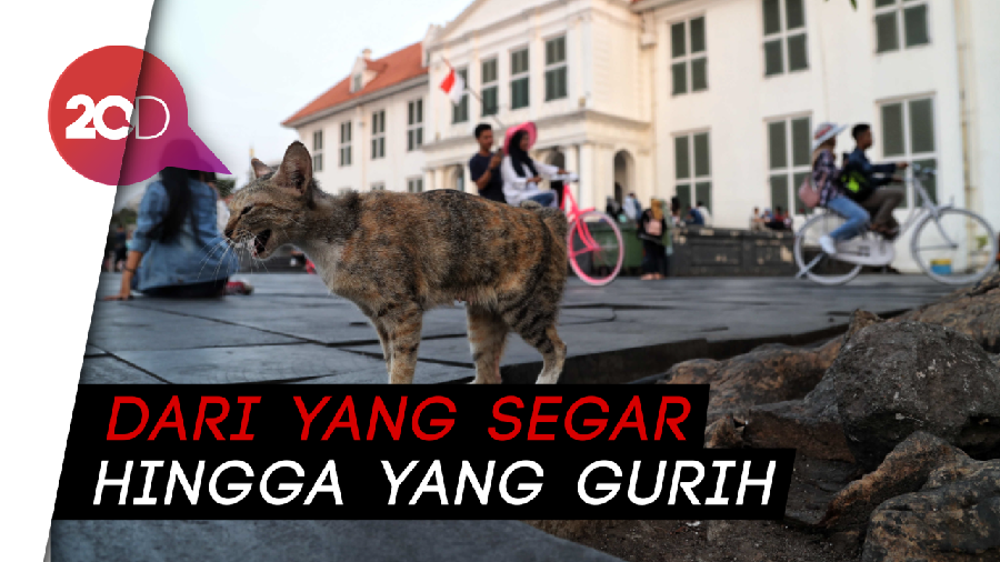 Doyan Ngemil? Yuk Berburu Aneka Kuliner Lezat di Kota Tua!