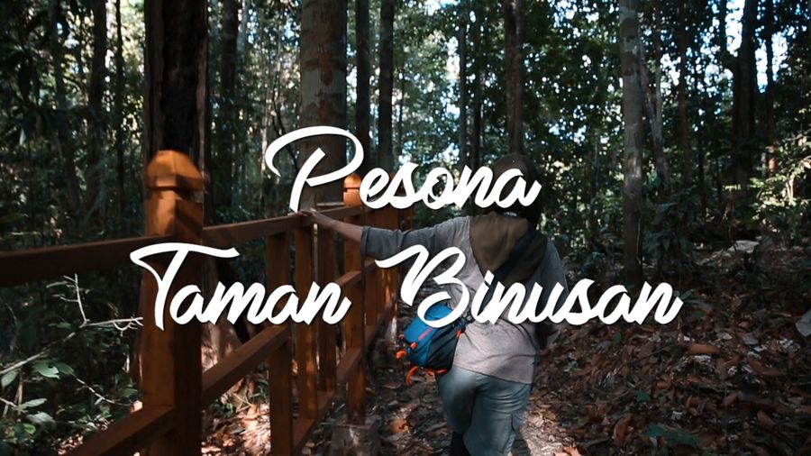 Menikmati Udara Segar di Hutan Lindung Binusan
