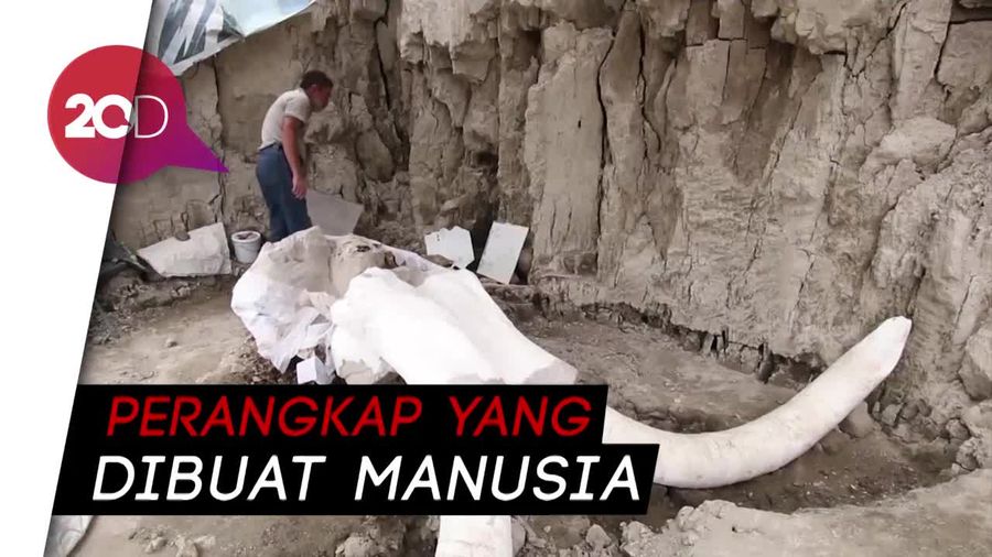 Kerangka Mammoth Berusia 15.000 Tahun Ditemukan Dalam Perangkap