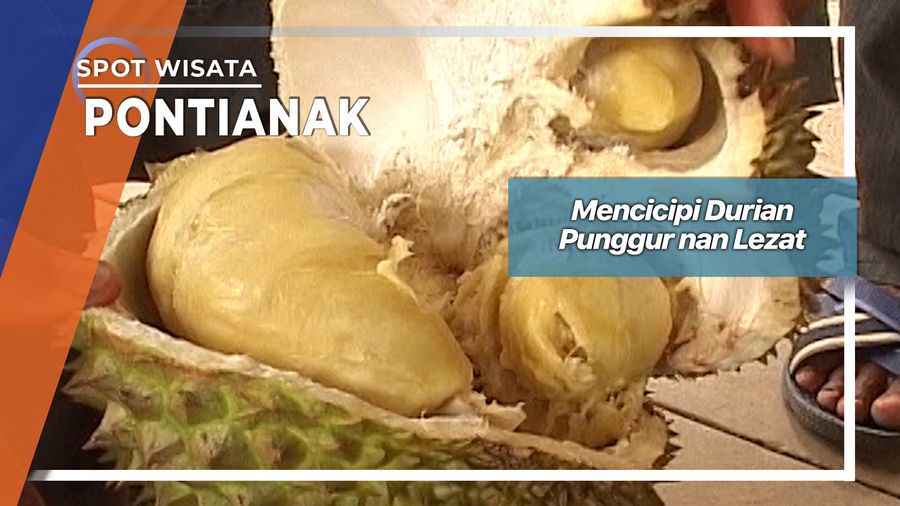 Durian Punggur nan Lezat Asal Kubu Raya Kalimantan Barat
