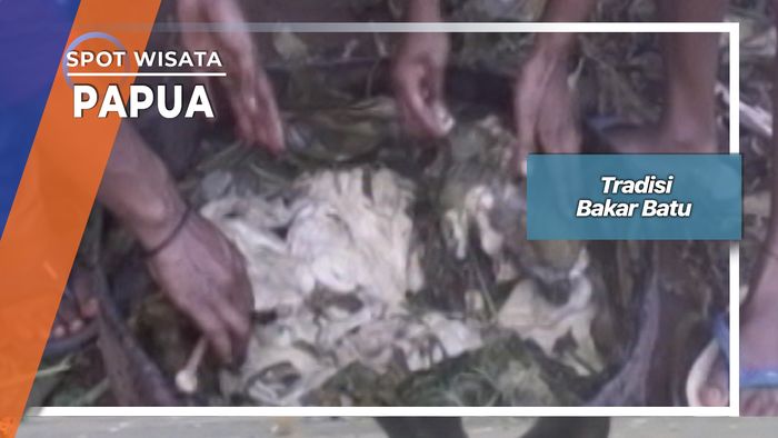 Tradisi Bakar Batu, Budaya Kuliner Pegunungan Tengah Papua