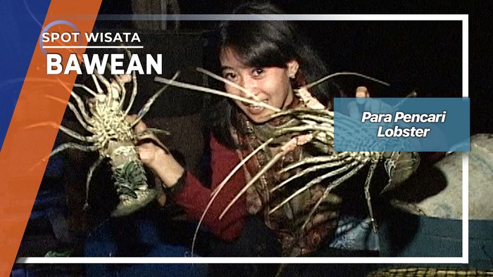 Berburu Lobster Hingga 30 Meter Di Bawah Laut Bawean