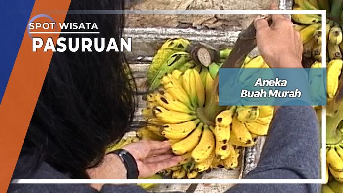 Aneka Buah Murah, Pasuruan