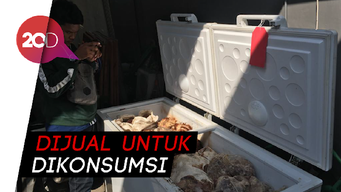 Polisi Bongkar Tempat Pengolahan Ayam Tiren di Mojokerto