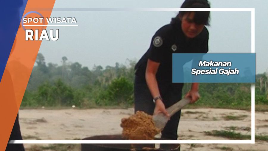 Makanan Spesial Gajah, Riau