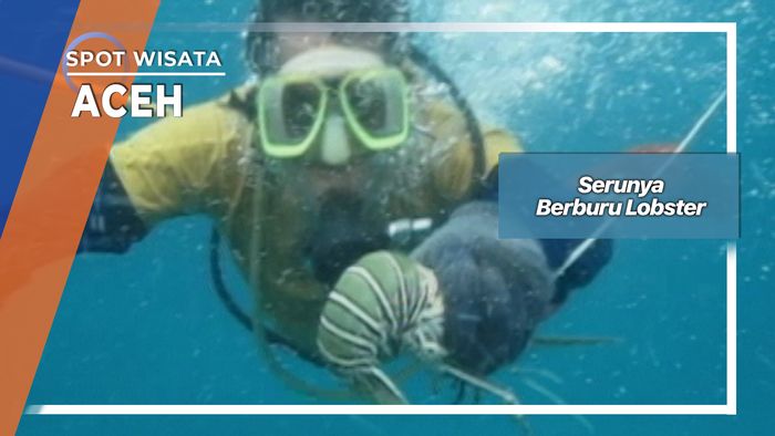Serunya Berburu Lobster, Aceh