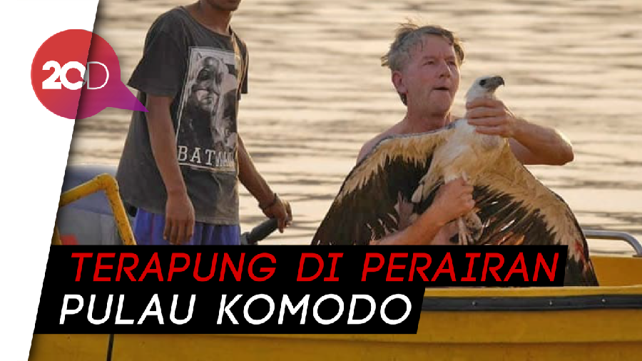 Mantab! Bule Tolong Elang Malang Tak Sanggup Terbang