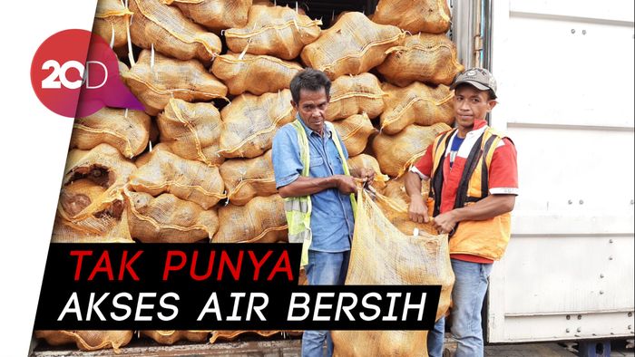Tak Penuhi Standar, Thailand Kembalikan 25 Kontainer Kelapa RI 