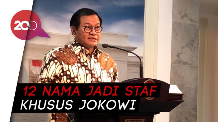 12 Nama Staf Khusus Jokowi Diumumkan Hari Ini, Ada 7 Nama Baru