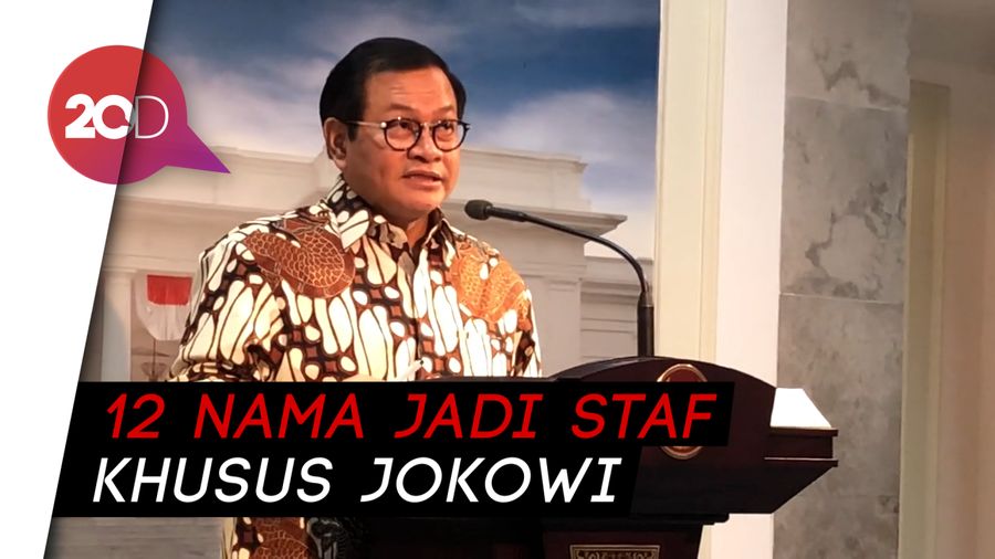 12 Nama Staf Khusus Jokowi Diumumkan Hari Ini, Ada 7 Nama Baru