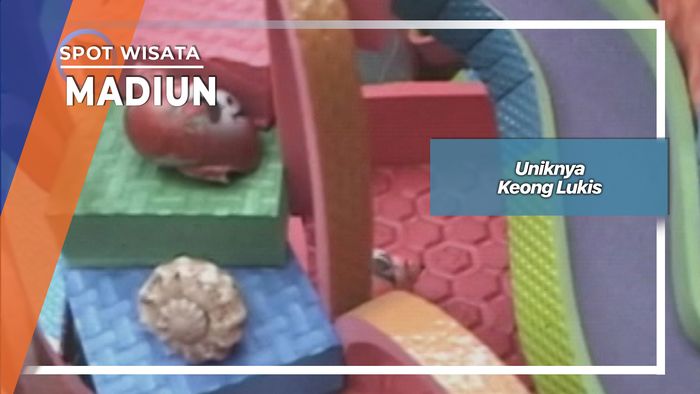 Lukis Unik Keong Pasar Burung Kota Madiun