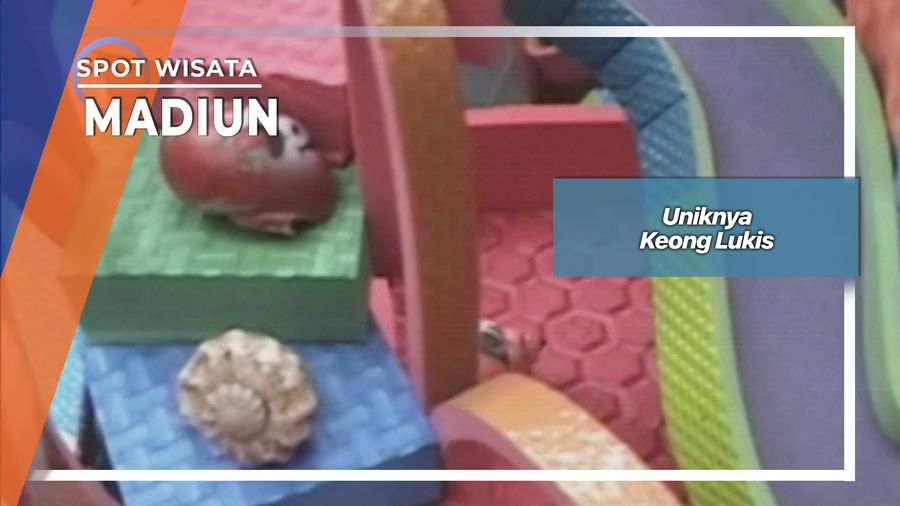 Lukis Unik Keong Pasar Burung Kota Madiun