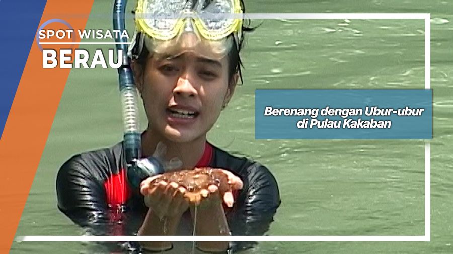 Berenang Bersama Ubur-ubur di Danau Kakaban Kepulauan Derawan Berau