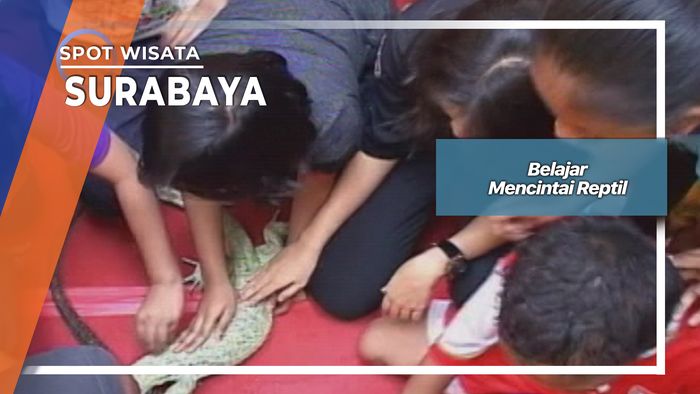 Belajar Mencintai Reptil Surabaya