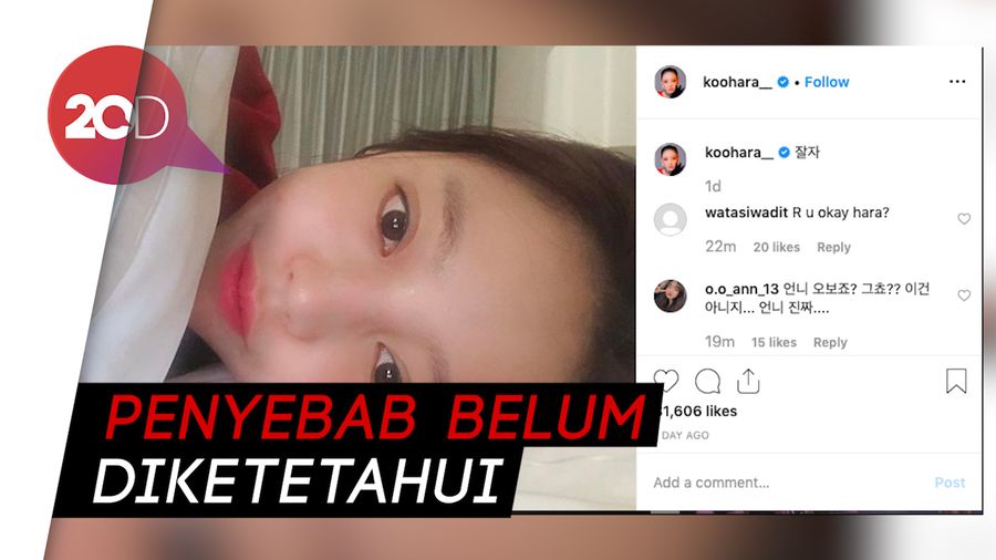 Postingan Terakhir Goo Hara Sebelum Ditemukan Meninggal Dunia