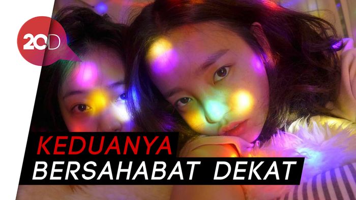 Kepergian Goo Hara Ingatkan Netizen dengan Mendiang Sulli