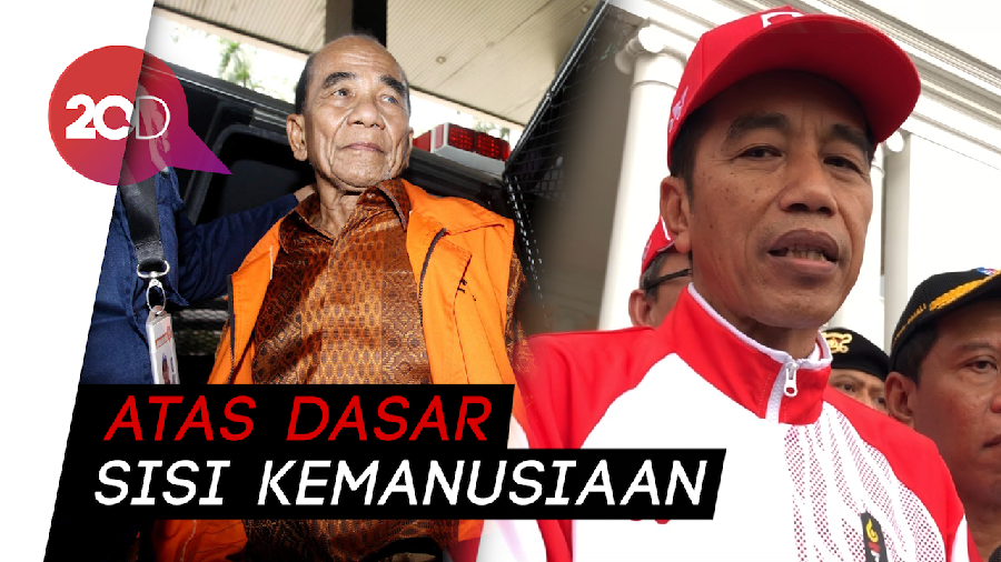 Alasan Jokowi Beri Grasi ke Annas Maamun: Sudah Uzur, Sakit-sakitan