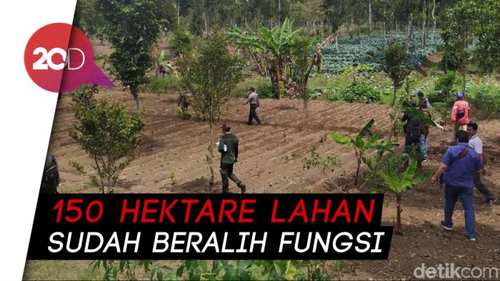 Operasi Simpatik Digelar di Kamojang, Bangunan Liar Dimusnahkan!   