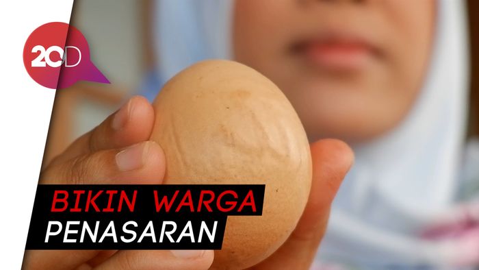 Peternak Ini Kaget, Sebut Ada Lafaz Allah di Telur Ayamnya