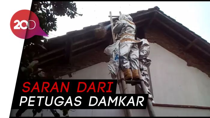 Jangan Panik! Simak Tips Tangani Sarang Tawon Vespa