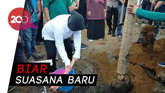 Sambut Piala Dunia U-20, Risma Tanam 1.000 Pohon Tabebuya di GBT