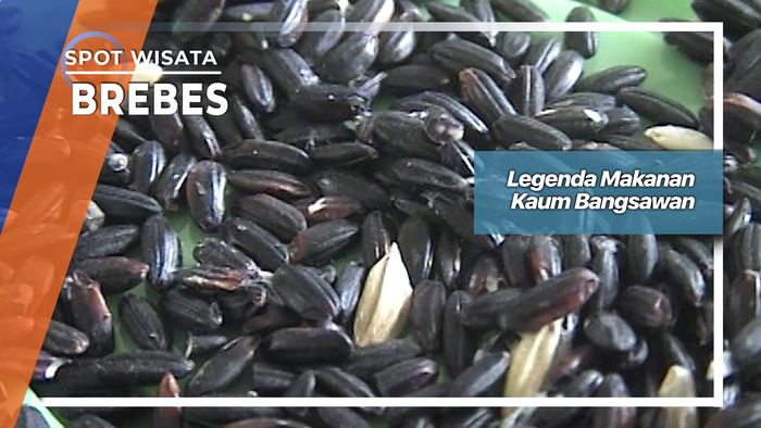 Beras Hitam Legenda Kuliner Kaum Bangsawan Dari Kecamatan Sirampog Brebes 