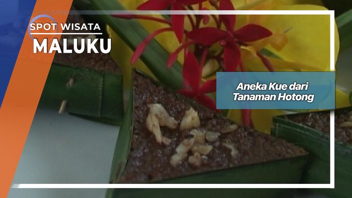 Tanaman Hotong Pulau Buru Maluku
