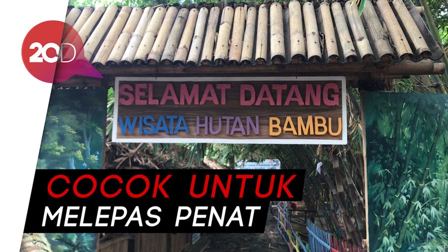Teduh Banget! Yuk, Tamasya ke Hutan Bambu Kota Bekasi