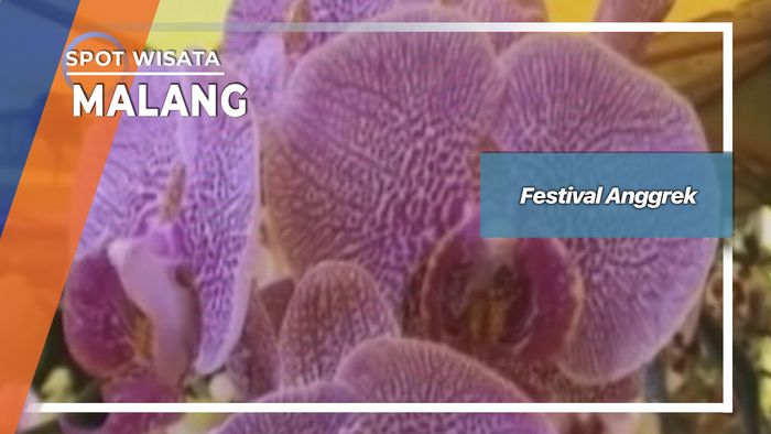 Festival Anggrek, Malang
