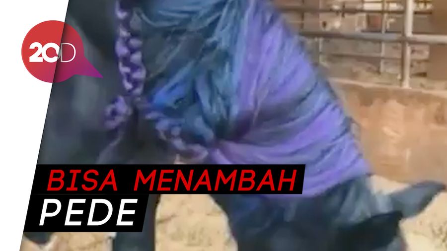 Otodidak, Gadis Ini Buat Wig Khusus Kuda!