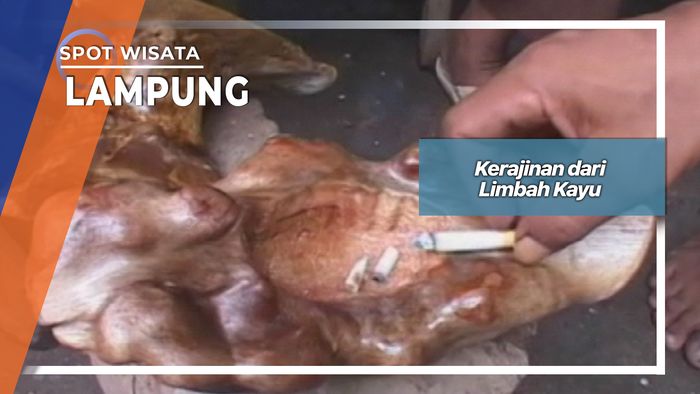 Kerajinan dari Limbah Kayu, Lampung