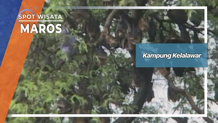 Kampung Kelalawar, Maros