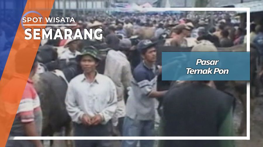 Pasar Ternak Pon di Ambarawa 