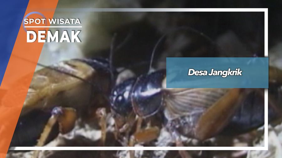 Desa Jangkrik, Demak