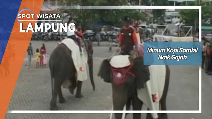 Minum Kopi Sambil Naik Gajah, Lampung
