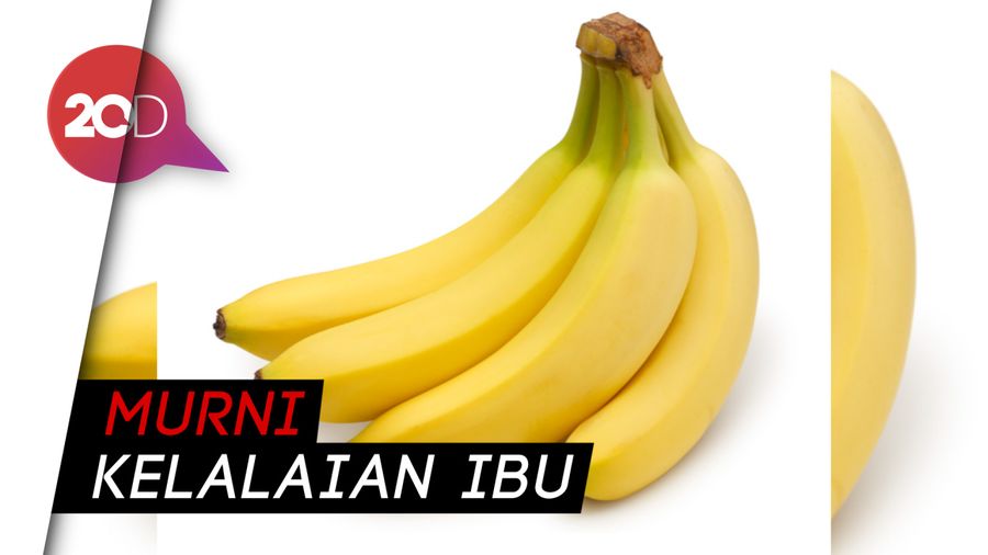 Nahas! Bayi 40 Hari Tewas Usai Diberi Makan Pisang Sang Ibu