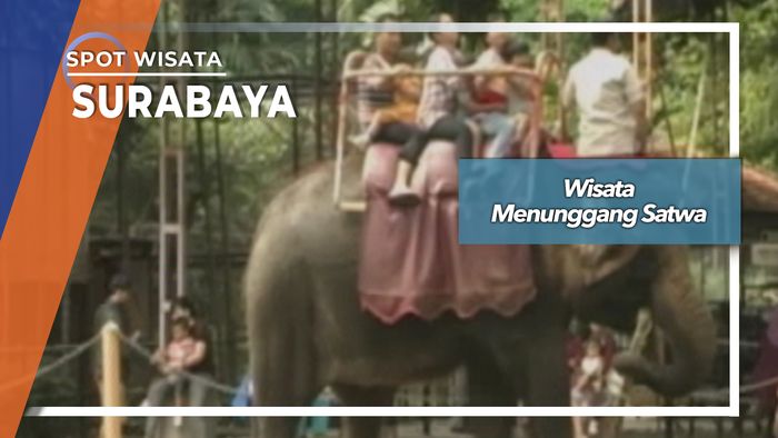 Wisata Menunggang Satwa, Surabaya