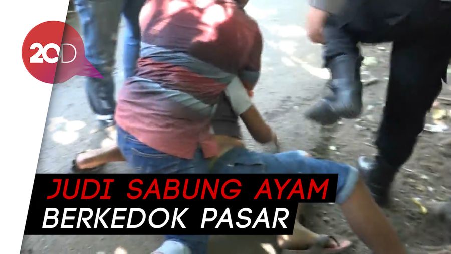 Dramatis! Penggerebekan Judi Sabung Ayam Berkedok Pasar di Probolinggo