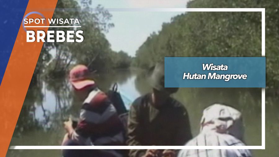 Wisata Hutan Mangrove, Brebes