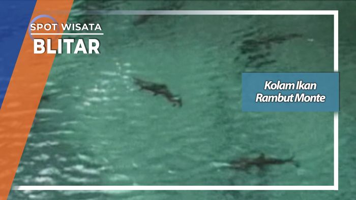 Kolam Ikan Rambut Monte, Blitar